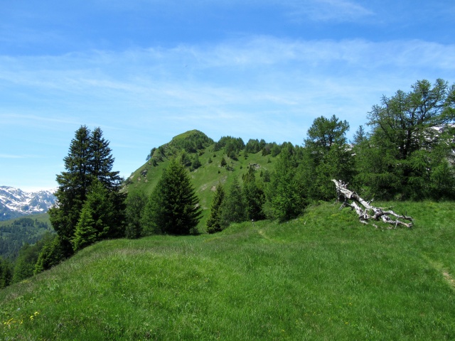 Pian Curnicc - panorama a ovest