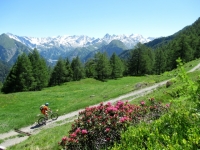 Alpe Pradasca