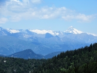 Alpi dell'Adamello  (in particolare Carè Alto mt 3.462 e Monte Adamello mt. 3.539)