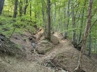 IMG_20260815_095856452_HDR
