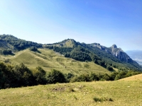 IMG_20260815_110140817_HDR
