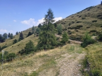IMG_20260815_112815271_HDR