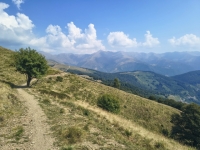 IMG_20260815_114855022_HDR