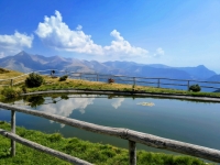 IMG_20260815_120320410_HDR