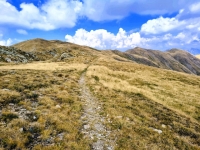 IMG_20260815_133305721_HDR