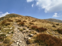 IMG_20260815_145114324_HDR