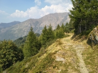 IMG_20260815_152351998_HDR
