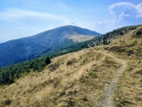 IMG_20260815_152818718_HDR