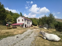 IMG_20260815_153115161_HDR
