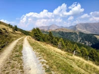 IMG_20260815_154125253_HDR