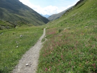 Il sentiero che percorre il vallone di Grauson