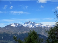 Il Grand Combin dal Petit Mont Blanc