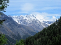 Il Massiccio del Gran Paradiso dal Petit Mont Blanc