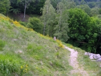 Alpe Murecc - sentiero