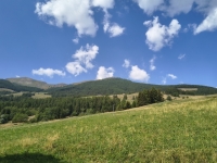 IMG_20260801_110156968_HDR