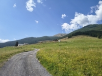 IMG_20260801_111117514_HDR
