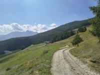IMG_20260801_113848168_HDR