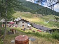 IMG_20260801_121146178_HDR