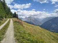 IMG_20260801_122133214_HDR