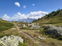 IMG_20260801_151622790_HDR