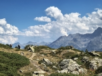 IMG_20260801_151646134_HDR