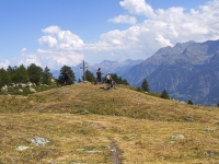 IMG_20260801_151751221