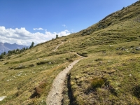 IMG_20260801_154145522_HDR