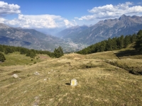 IMG_20260801_165723443_HDR