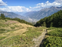 IMG_20260801_170128470_HDR