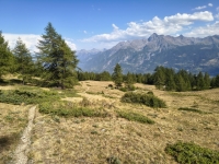 IMG_20260801_170806384_HDR