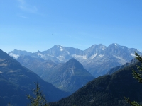 Vista dall'Alpe Marsasca, da sx a dx: Pizzo D'Andolla, Weissmies, Lagginhorn. Fletschhorn