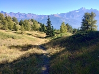 Becca Trail