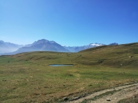 Alpe Pesse Desot - Panorama sulla Testa del Rutor e relativo ghiacciaio
