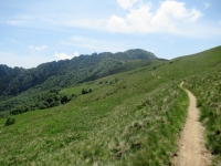 Il panoramico sentiero (parte del Scenic Trail) che collega San Lucio con la bocchetta di San Bernardo