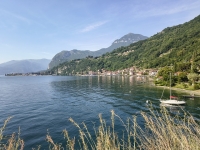 Sant'Amate-Nesdale-Varoo1