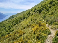 Sant'Amate-Nesdale-Varoo10