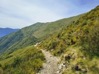 Sant'Amate-Nesdale-Varoo11