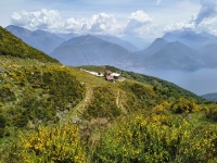 Sant'Amate-Nesdale-Varoo12