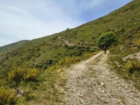 Sant'Amate-Nesdale-Varoo13