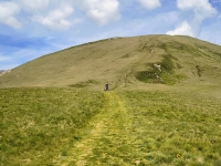 Sant'Amate-Nesdale-Varoo15