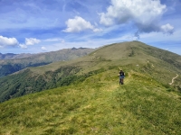 Sant'Amate-Nesdale-Varoo17