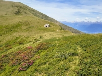 Sant'Amate-Nesdale-Varoo24