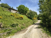Sant'Amate-Nesdale-Varoo3
