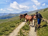 Sant'Amate-Nesdale-Varoo30