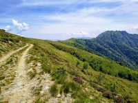 Sant'Amate-Nesdale-Varoo32