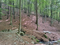 Sant'Amate-Nesdale-Varoo34
