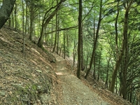 Sant'Amate-Nesdale-Varoo35