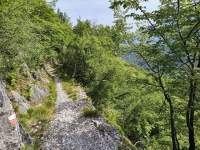 Sant'Amate-Nesdale-Varoo36