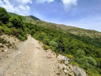 Sant'Amate-Nesdale-Varoo4