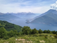 Sant'Amate-Nesdale-Varoo5